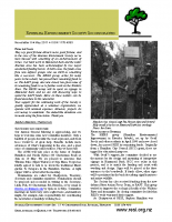 Newsletter08-May11